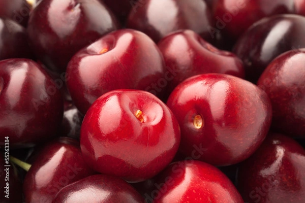 Obraz red cherry background