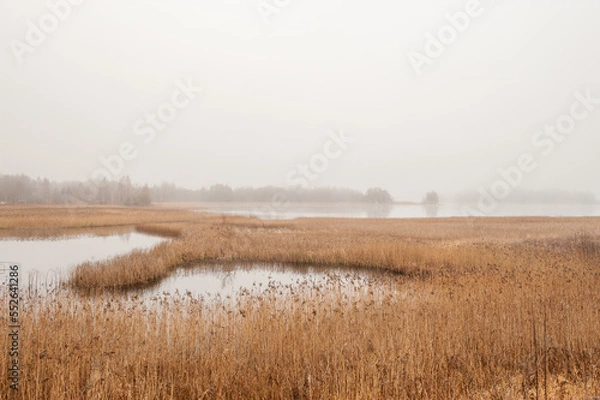 Fototapeta Foggy autumn morning in November at lake Sottern in county Närke, Sweden