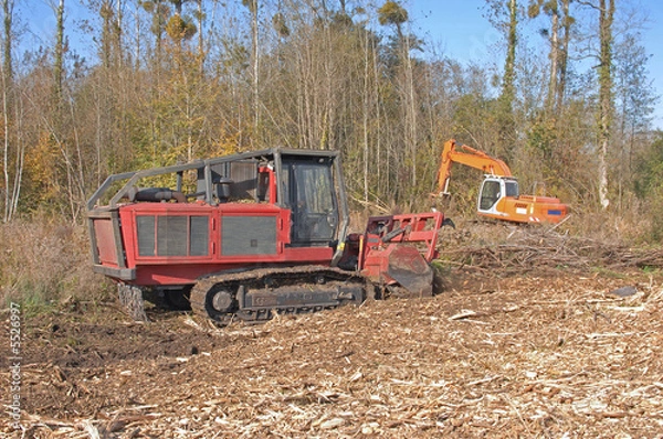 Obraz travaux forestiers