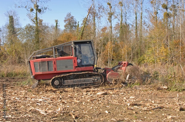 Obraz travaux forestiers