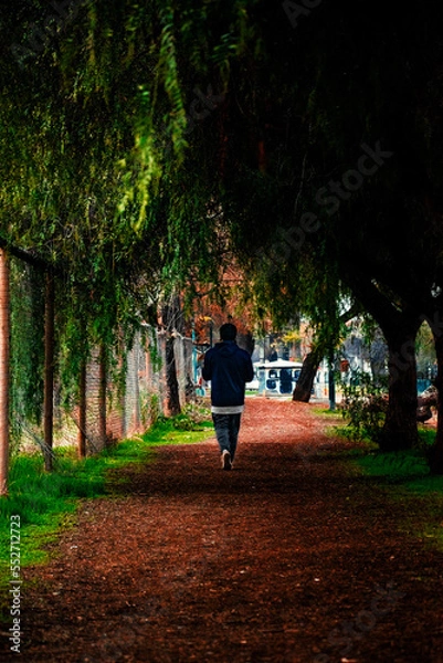 Obraz Caminando entre árboles 