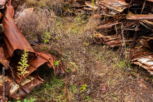 Fototapeta 野ざらしのスクラップ
