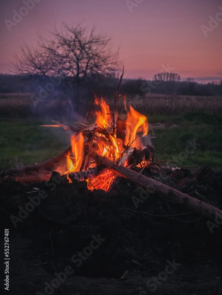 Fototapeta fire in the forest