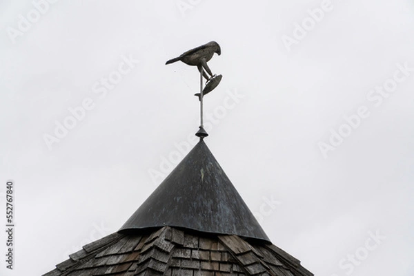 Obraz stork on the roof
