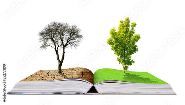 Fototapeta Open book with live and dead tree isolated on transparent background, PNG. Global warming or climate change concepts.