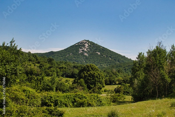 Obraz landscape with trees and mountain