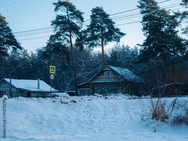 Obraz house in the woods