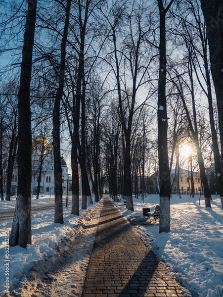 Obraz winter in the park