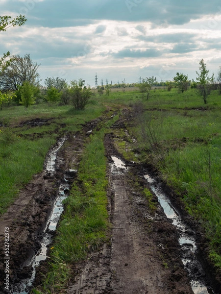 Obraz path in the field