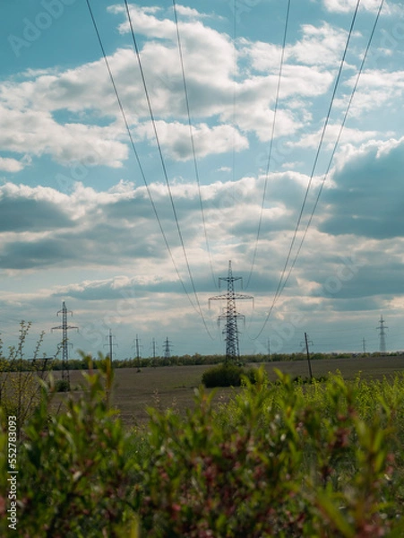 Obraz power lines in the field
