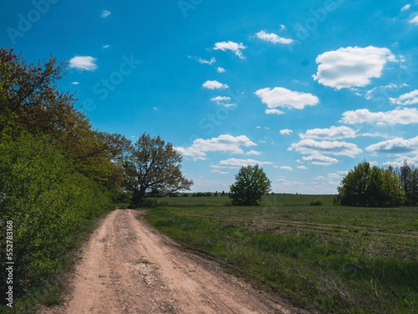 Obraz road in the field