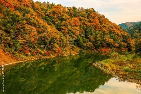 Fototapeta autumn in the mountains