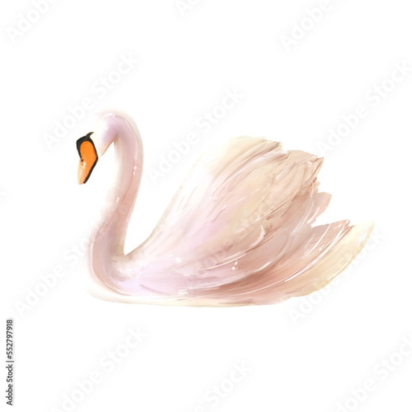 Fototapeta swan2