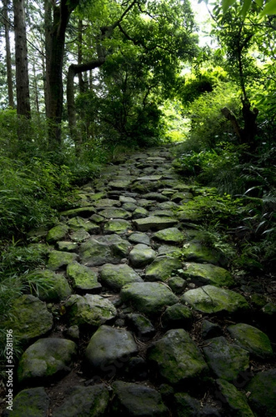 Obraz 箱根の旧街道石畳