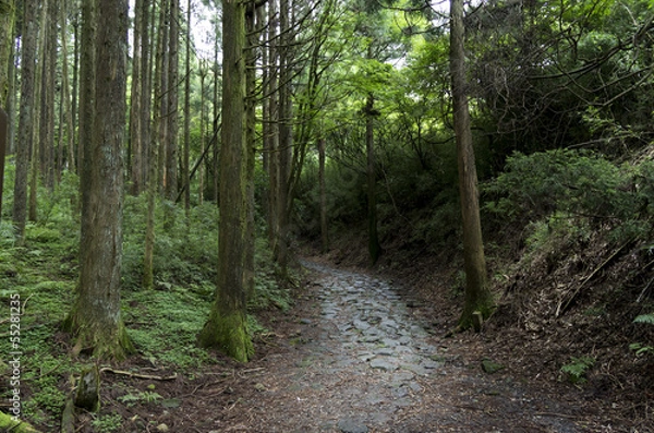 Obraz 箱根の旧街道石畳