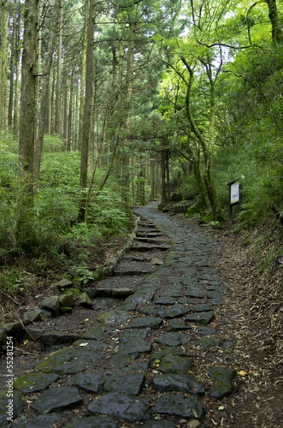 Obraz 箱根の旧街道石畳