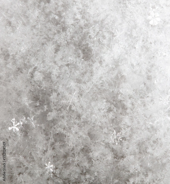 Fototapeta White snowflakes in winter as a background.