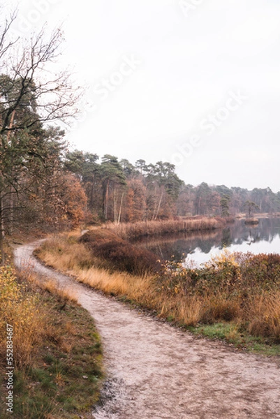 Obraz Forest trail next to pond with autumn colors | Landscape Photography, The Netherlands
