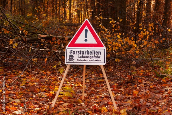 Obraz Forstarbeiten im Wald