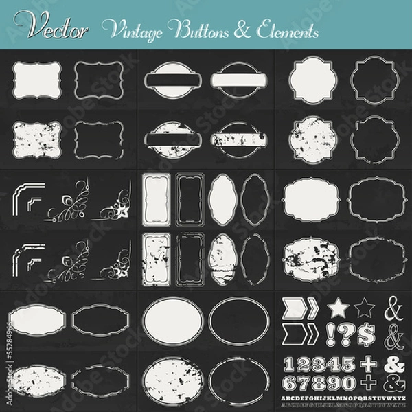 Fototapeta Vintage Vector Labels and Elements