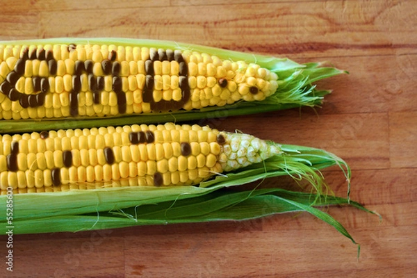 Obraz Koncepcja GMO