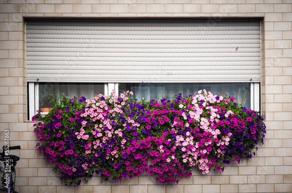 Obraz Schöner wohnen (wollen)