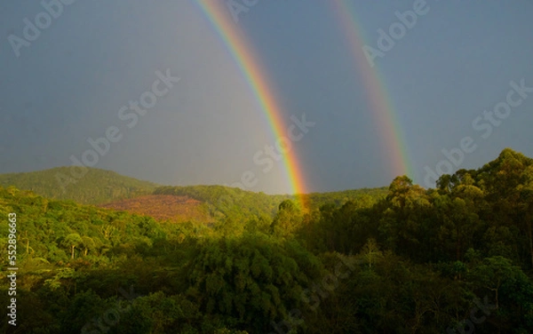 Fototapeta double rainbow over the mountain with forest and blue sky
