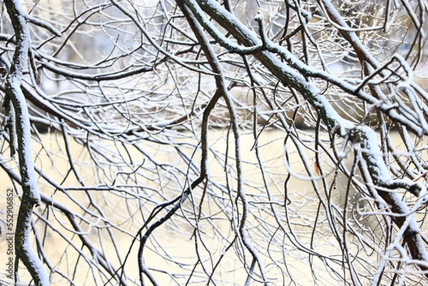 Fototapeta winter background branches snow park nature
