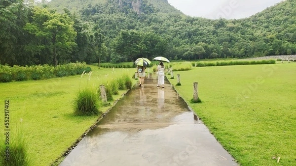 Obraz walk in the park