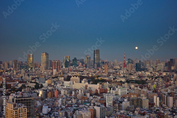 Obraz 東京タワー