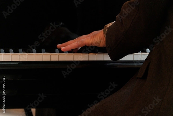 Fototapeta ピアニストの指先
