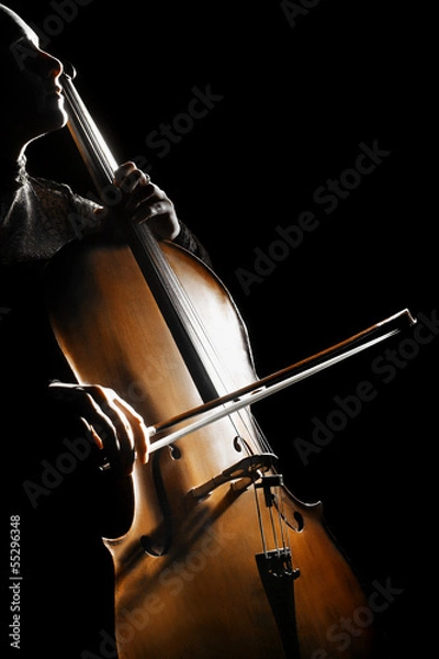 Obraz Cello cellist playing