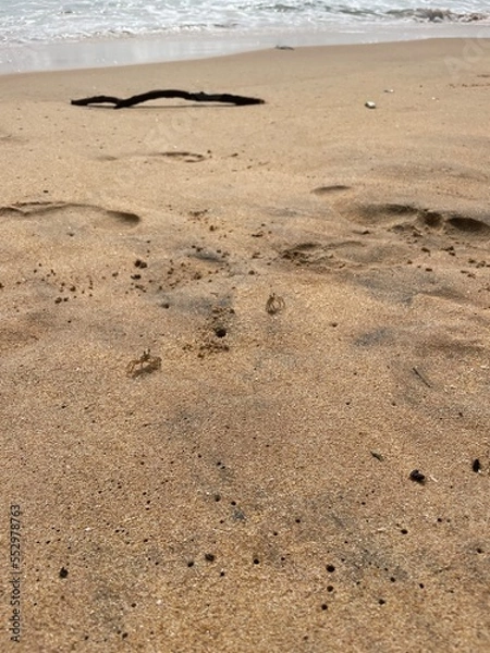 Obraz footprints on the sand