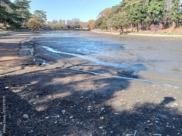 Fototapeta かいぼり中