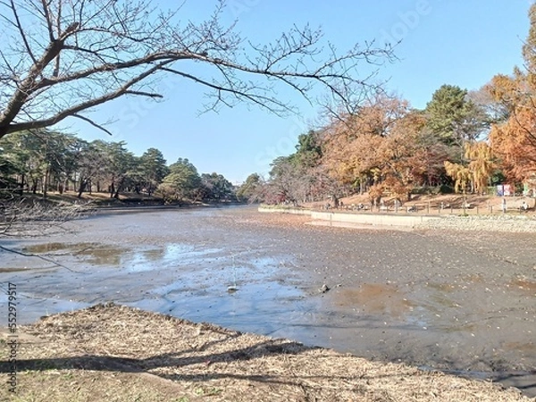 Fototapeta かいぼり