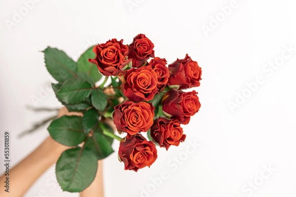 Fototapeta Bouquet of red roses in female hands on a white background, top view.