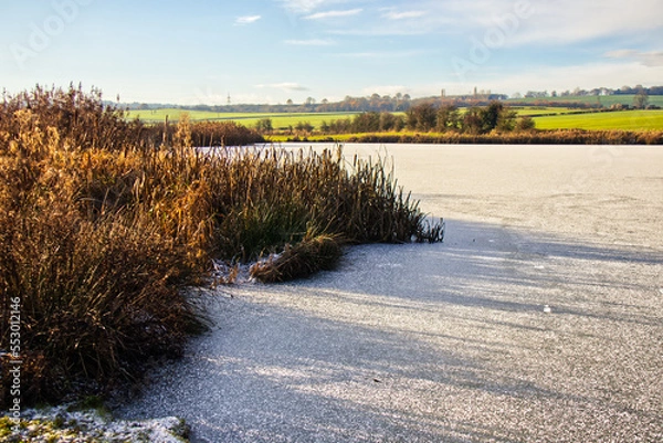 Obraz landscape with a frozen pond in the morning