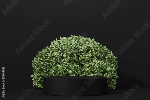 Obraz black Empty podium Blank product shelf standing backdrop.