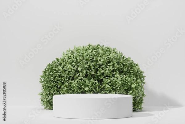 Obraz Empty podium Blank product shelf standing backdrop.