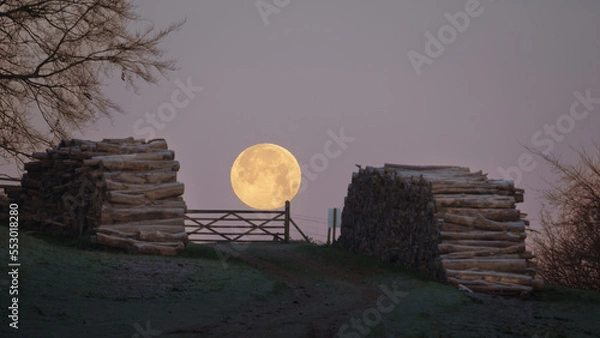 Obraz Full moon over a gate 