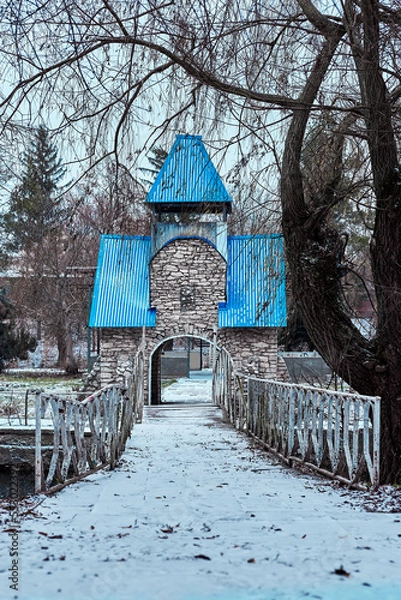 Obraz winter in the park