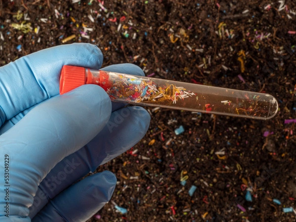 Fototapeta Microplastics in soil a test tube with soil sample - soil contaminated with mineral microplastics