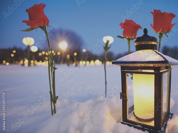 Obraz lantern in the snow