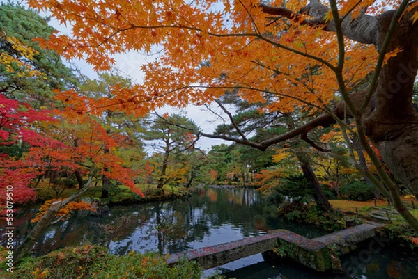 Fototapeta 紅葉に彩られた庭園