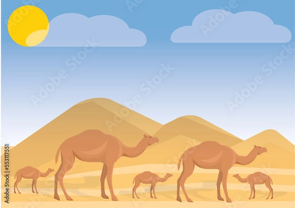 Fototapeta camels in the desert landscape.
camels in the desert .
camel in desert