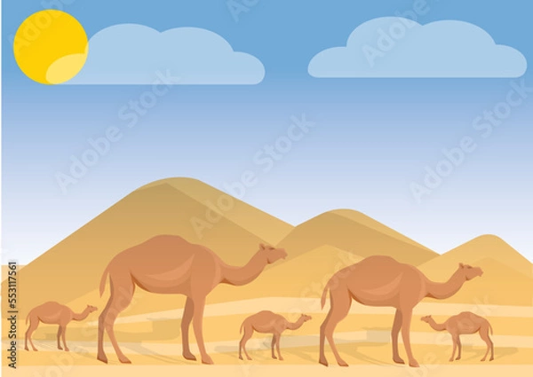 Fototapeta camels in the desert illustration .
camels in the desert .
camel in desert