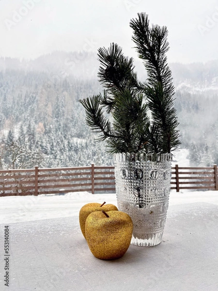 Obraz Golden apple and christmas plant in the Snow