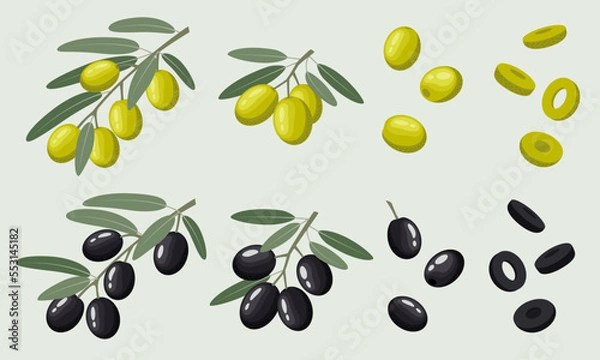 Fototapeta Vector illustration of a set of black and green olives. Branches with olives with leaves, individual berries and sliced ​​berry rings. Vegetable illustration in a flat style on a blue background.