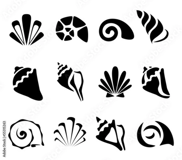 Fototapeta Abstract shell symbol set