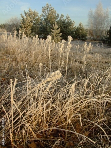 Obraz Scheibe-See 01